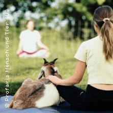 Yoga mit Schafen & Ziegen in der Natur 11.07.2026 Profaris Mensch und Tier